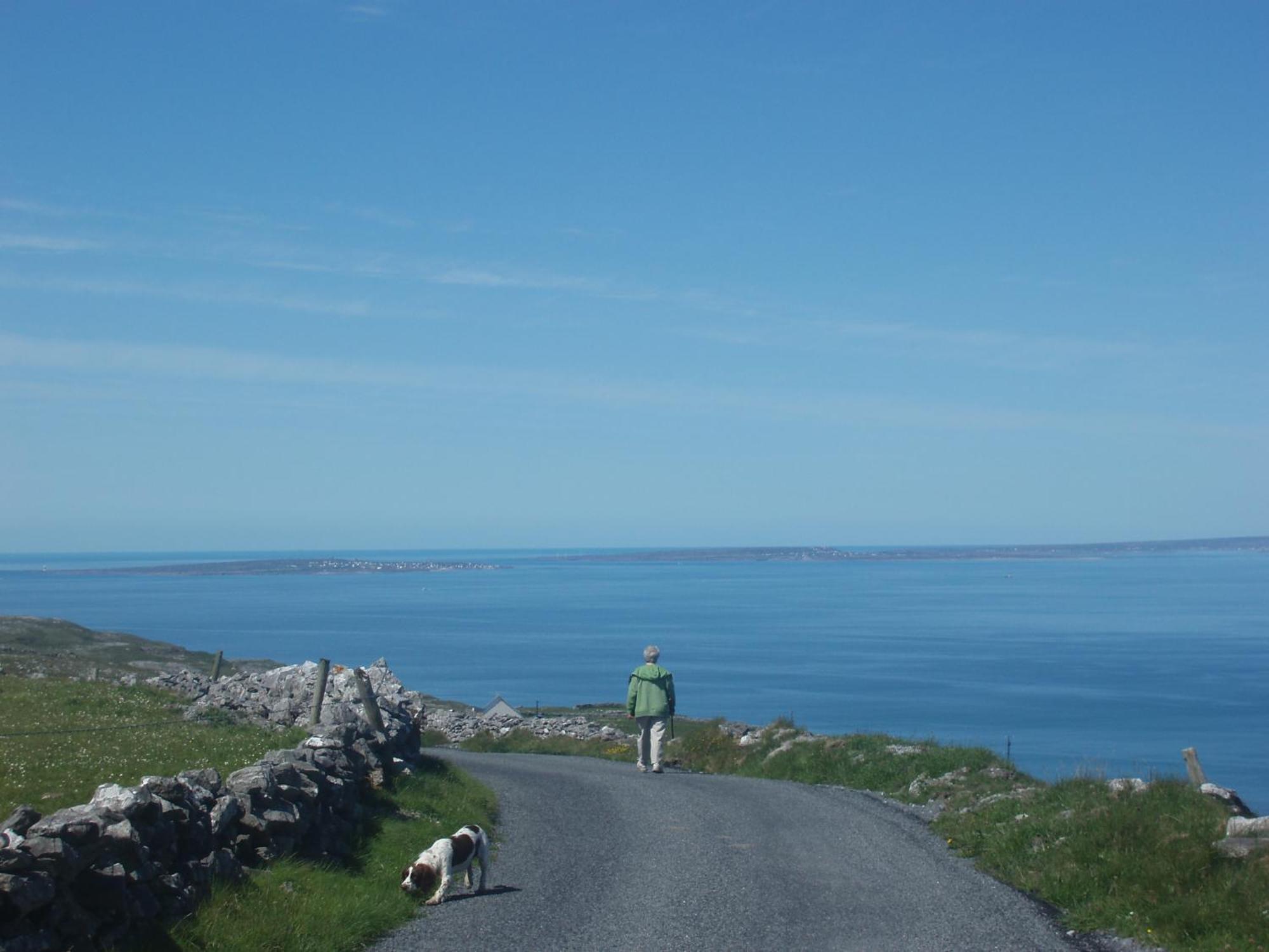 Greenlawn Lodge Lisdoonvarna Eksteriør bilde
