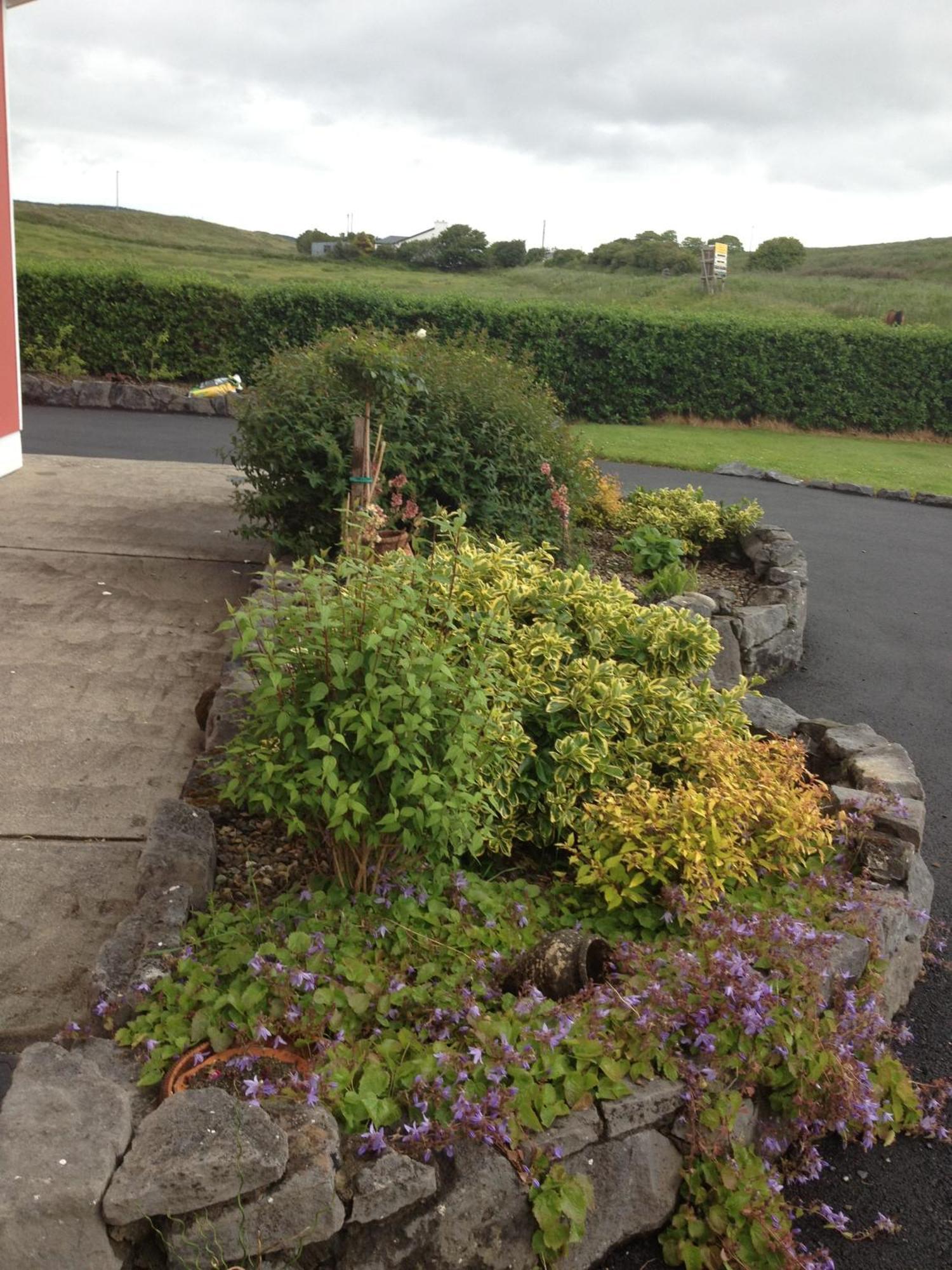 Greenlawn Lodge Lisdoonvarna Eksteriør bilde